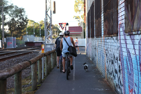 B23_008_Dog_Mar2011_WEB
