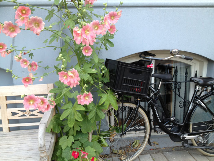 Amsterdam_bikeflower_3_WEB