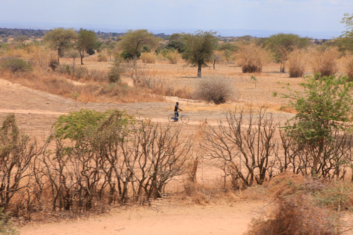 TANZANIA_web_4
