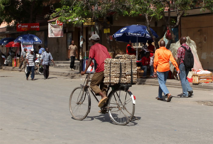 TANZANIA_web_12