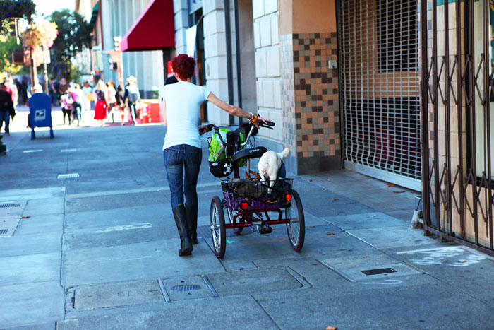 Fair-weather friends