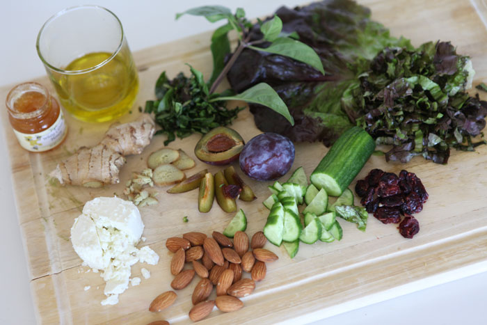 RecipiesForTheRide_AlmondPlumCheese