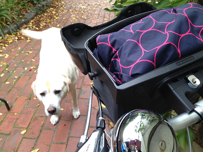 A bicycle rain cape that fits any occasion!