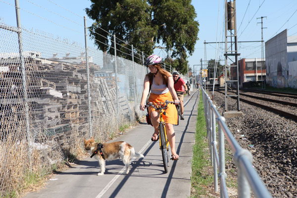 B23_001_Dog_Mar2011_WEB